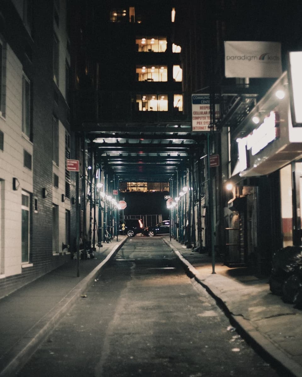 A Melbourne laneway at dusk, lit along its length